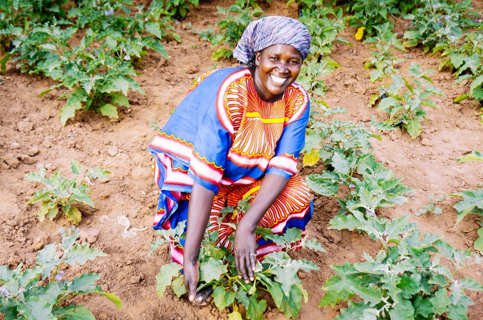 Uganda farmland and gardening projects expand, seek to fund new